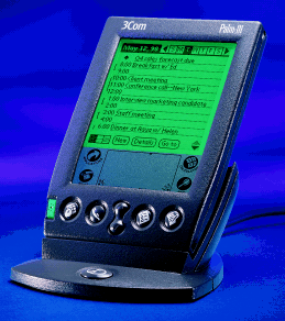 Palm III